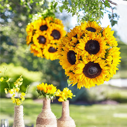 Sublime Garden Hanging Arrangement –  Temptation Flower Shop, Wichita KS