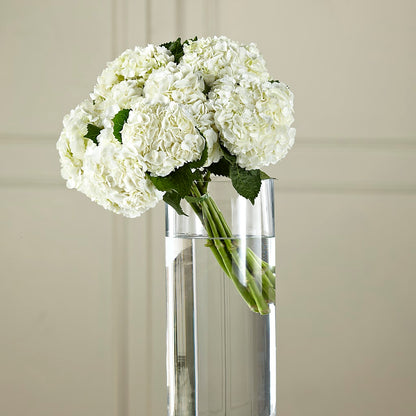 White Hydrangea Hand-Tied Bouquet –  Temptation Flower Shop, Wichita KS