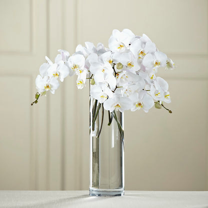 White Phalaenopsis Bouquet –  Temptation Flower Shop, Wichita KS