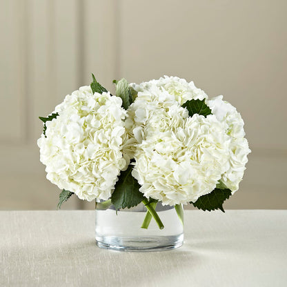 White Hydrangea Bouquet –  Temptation Flower Shop, Wichita KS